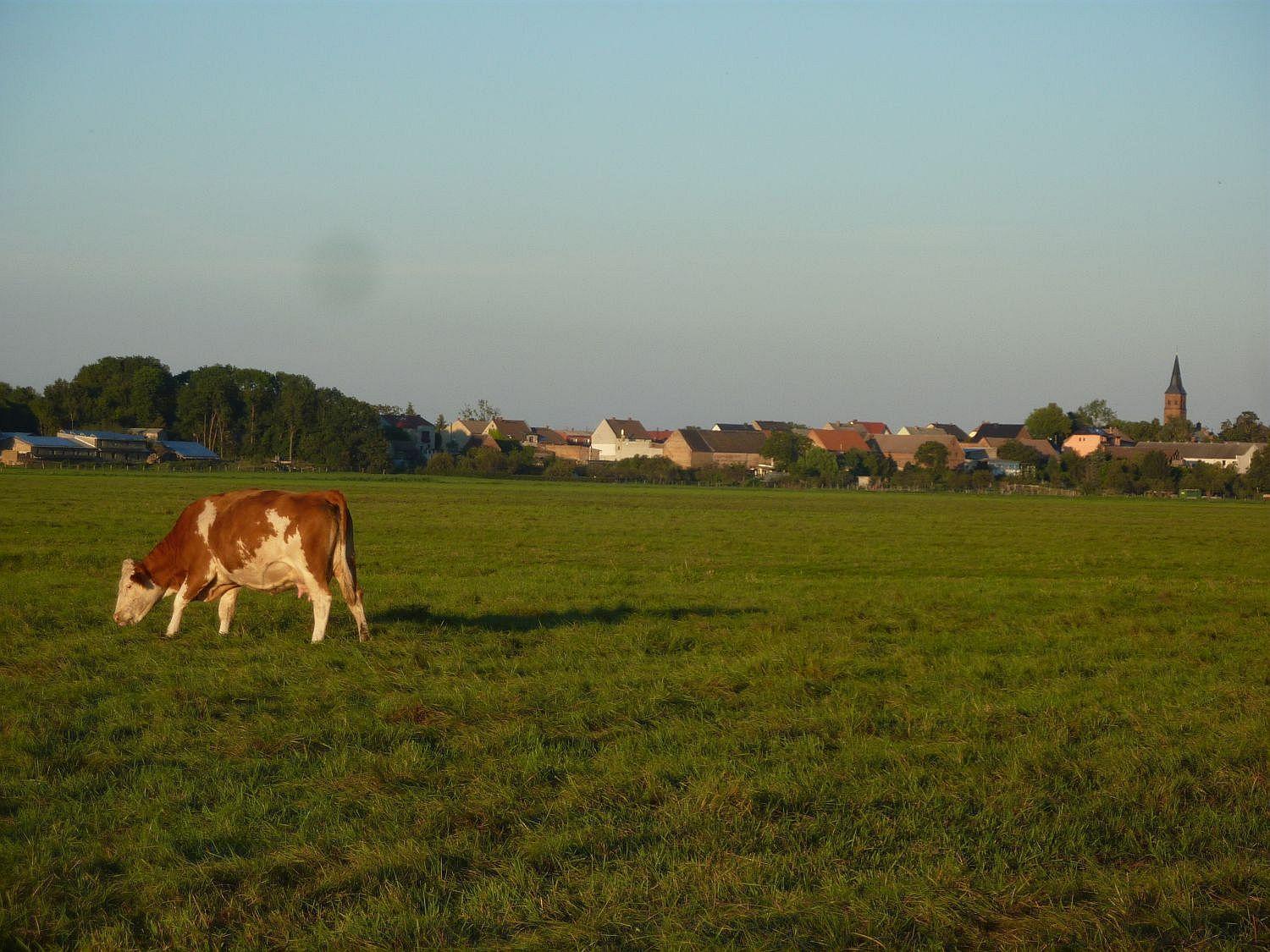 Ferienwohnung Zallnerhof Am Elberadweg In Steutz Exterior foto